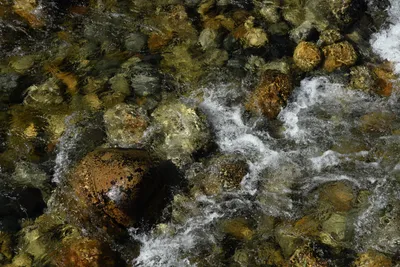 DSC_4288 (Large).JPG